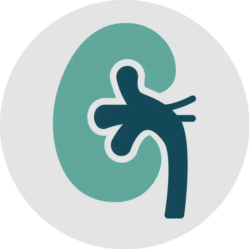 Upperline Health Kidney Conditions