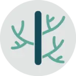 Upperline Health Vein Care