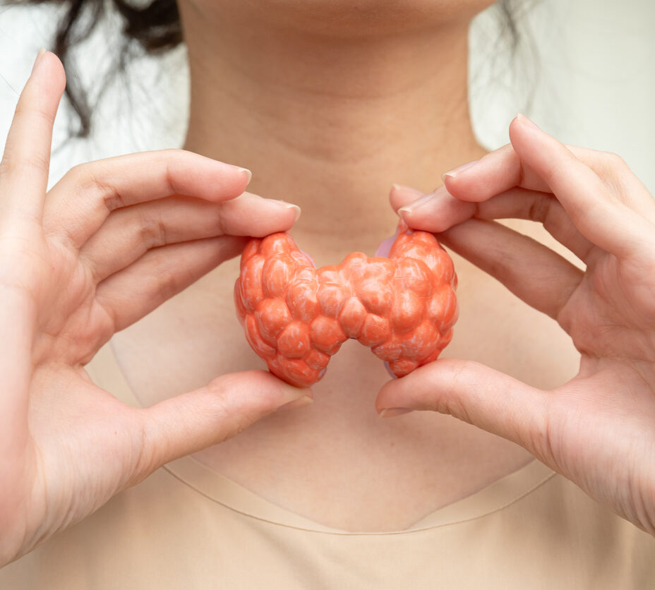Hyperthyroidism, Overactive Thyroid, Thyroid Lymphoma, Asian woman with thyroid gland human anatomy model.